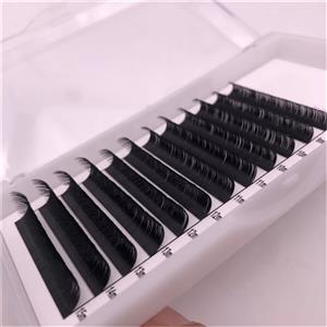 Natural Light Volume Eyelash Extensions Professional